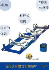 電子皮帶秤的維護規(guī)范