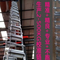 專業(yè)生產(chǎn)2-500kg/CXLM皮帶秤校驗鏈碼掛碼校準稱重